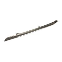 Zierleiste, Kühlergitter vorne links