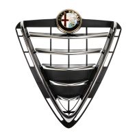 Kühlergitter ohne Ästhik Kit