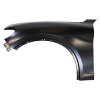 Kotflügel vorne links