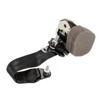 Sicherheitsgurt hinten links