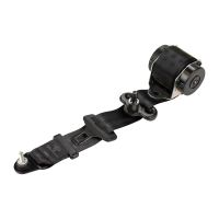 Sicherheitsgurt hinten links