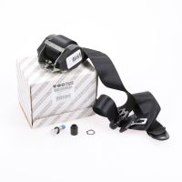 Sicherheitsgurt vorne