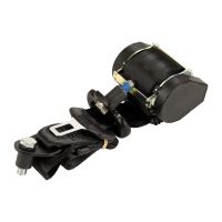 Sicherheitsgurt hinten links