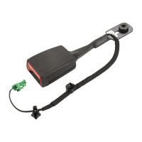 Gurteltrum Gurtpeitsche