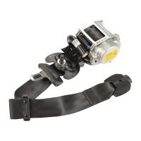 Sicherheitsgurt vorne