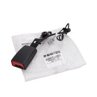 Gurteltrum Gurtpeitsche