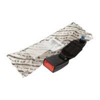 Gurtpeitsche hinten links + rechts