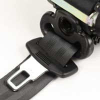 Sicherheitsgurt Beifahrerseite