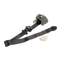 Sicherheitsgurt links