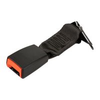 Gurtpeitsche hinten rechts