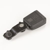 Gurtpeitsche hinten links