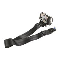 Sicherheitsgurt hinten mitte