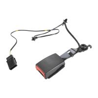 Gurtpeitsche links vorne