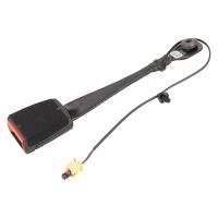 Gurtpeitsche erste Reihe rechts oder links