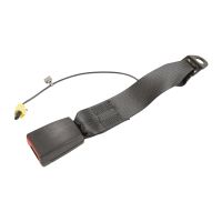 Gurtpeitsche rechts 2. Reihe