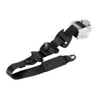 Sitzgurt hinten links