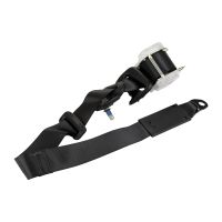 Sitzgurt hinten rechts