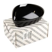 Spiegelkappe vorne links