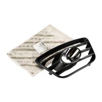 Lüftungsgitter vorne rechts