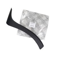 Stoßstangenabdeckung vorne links