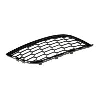 Kühlergitter an der Stoßstange rechts