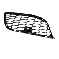 Kühlergitter an der Stoßstange rechts