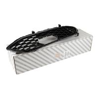 Gitter vorne an der Stoßstange rechts