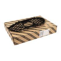 Gitter vorne an der Stoßstange rechts