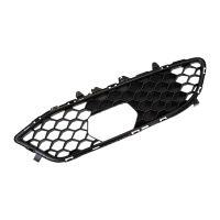 Gitter vorne an der Stoßstange rechts