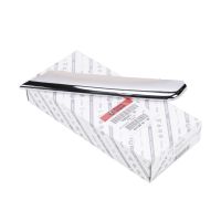 Abdeckleiste an der vorderen Stoßstange links