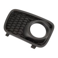 Abdeckgitter vorne rechts