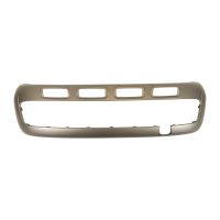 Zierleiste an der vorderen Stoßstange