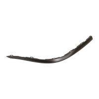 Stoßstangenleiste hinten links