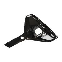 Blende Gitter vordere Stoßstange links