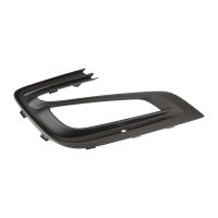 Gitter Stoßstange links mit NSW Aussparung