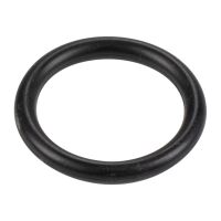 O-Ring Wasserrohr 2,62 X 17,12 Original FCA