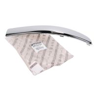 Frontzierstück rechts in Stoßstange