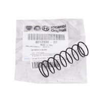 Feder für Schaltknauf