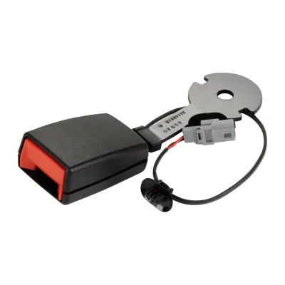 Gurtpeitsche online kaufen | Augustin Group