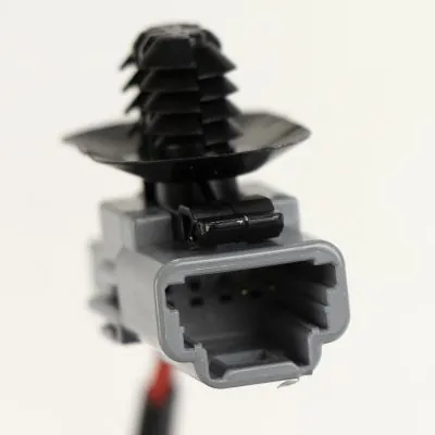 Gurtpeitsche online kaufen | Augustin Group