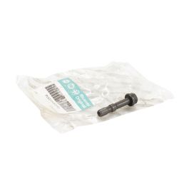 Pleuelschraube Original online kaufen | Augustin Group