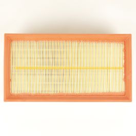 Luftfiltereinsatz eckig L=250 B=133 H= online kaufen | Augustin Group 