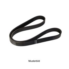 Keilrippenriemen 5K0648 online kaufen | Augustin Group