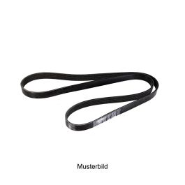 Keilrippenriemen 6K1635 online kaufen | Augustin Group