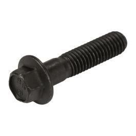 6-Kant Flanschkopfschraube M8 x 1,25 x online kaufen | Augustin Group