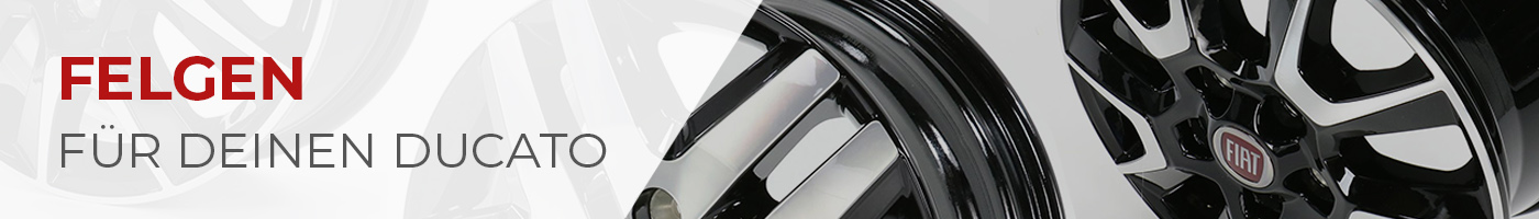 Alufelgen & Stahlfelgen für deinen Fiat Ducato