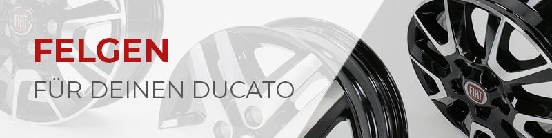 Alufelgen & Stahlfelgen für deinen Fiat Ducato