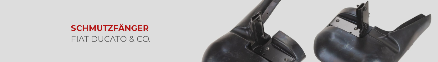 Schmutzfänger für deinen FIAT Ducato 250