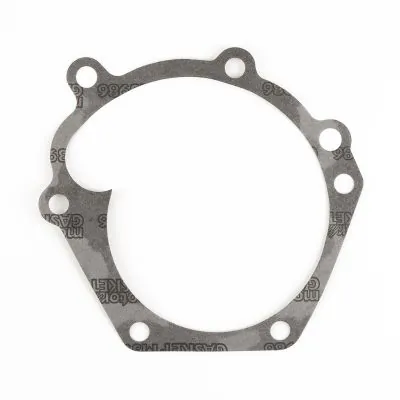 MAGNETI MARELLI 352316170887 Water Pump For Citroën, Fiat, PEUGEOT