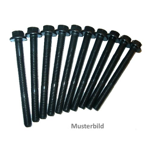 Zylinderkopfschraubensatz außen torx Fiat Ducato Ulysse Zeta 2,0 2,2 JTD RHZ Peugeot Boxer Citroen Jumper 2,0 2,2 HDI